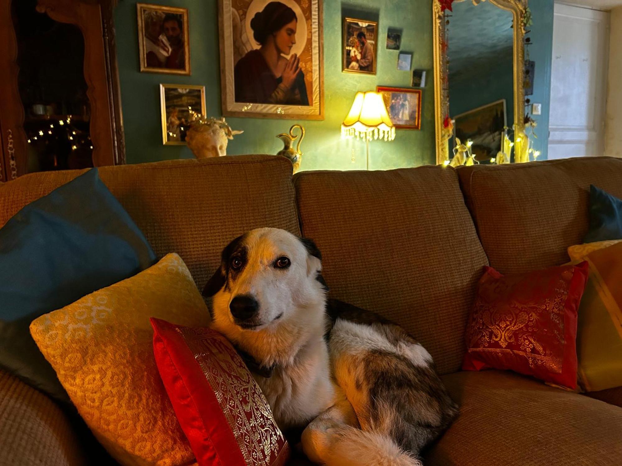 Les Contes Bed and Breakfast Fougax-et-Barrineuf Buitenkant foto